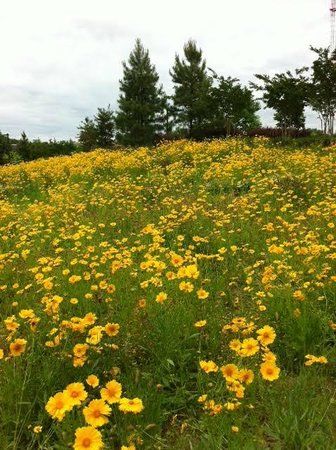 Historic Fourth Ward Park